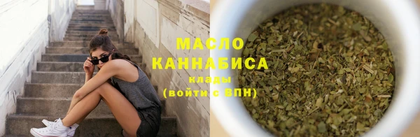 твердый Новозыбков