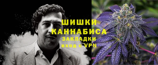 твердый Новозыбков