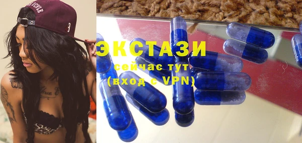твердый Новозыбков