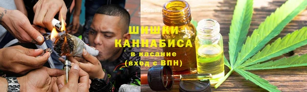 твердый Новозыбков