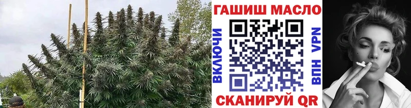 Купить Гай Дистиллят ТГК концентрат